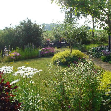 B&B Op De Vlakte Oosternijkerk ภายนอก รูปภาพ