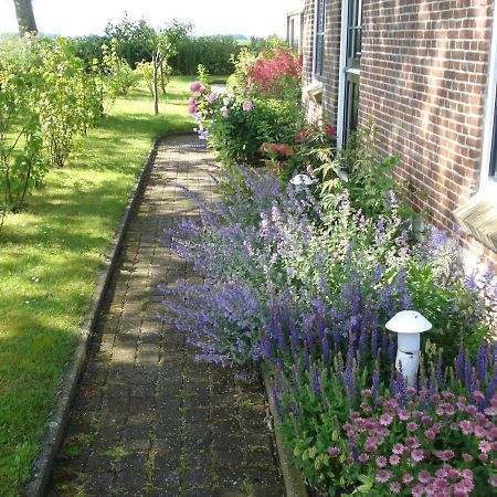 B&B Op De Vlakte Oosternijkerk ภายนอก รูปภาพ
