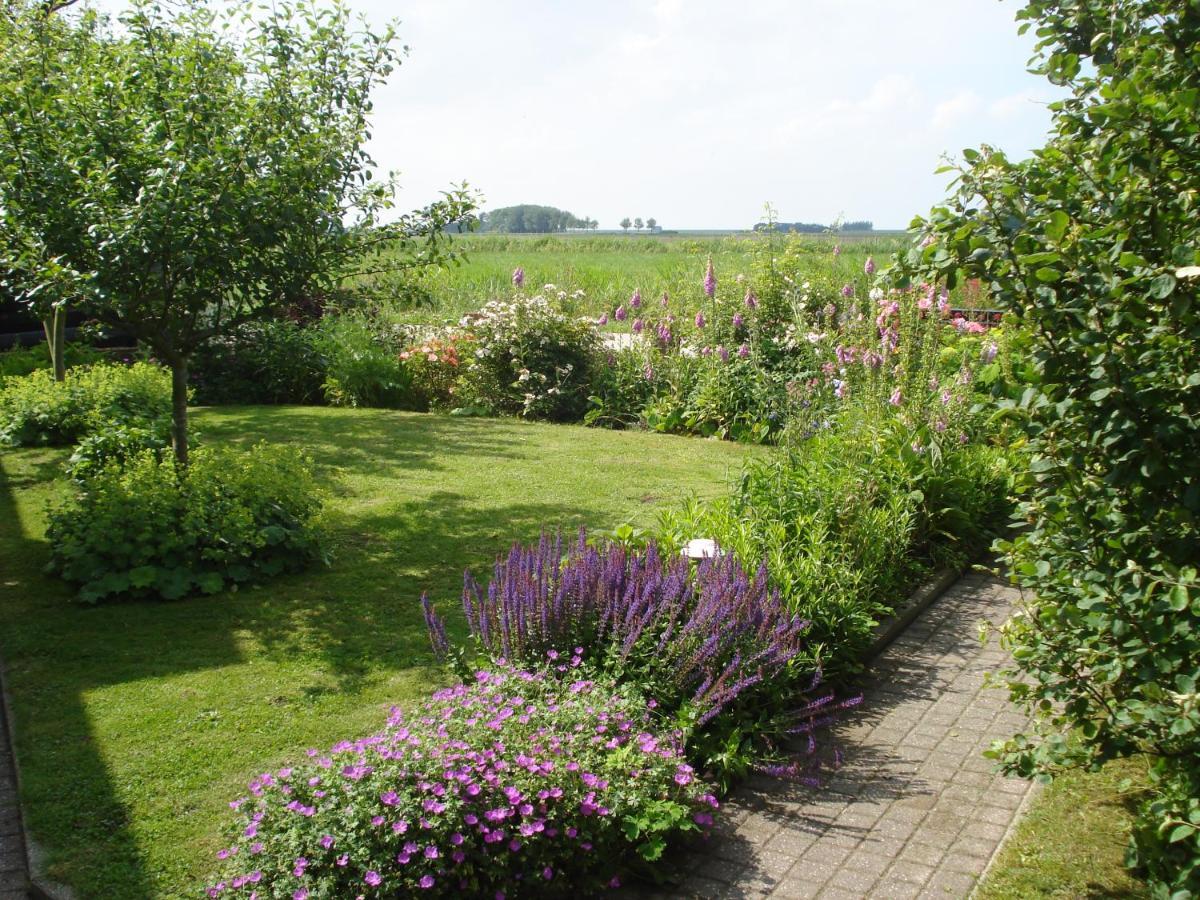 B&B Op De Vlakte Oosternijkerk ภายนอก รูปภาพ