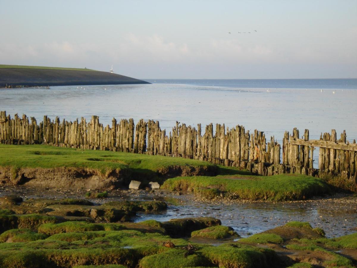 B&B Op De Vlakte Oosternijkerk ภายนอก รูปภาพ