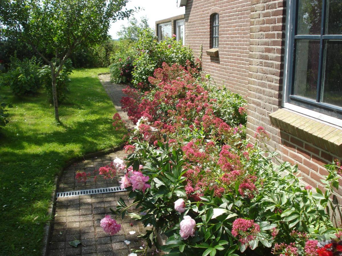 B&B Op De Vlakte Oosternijkerk ภายนอก รูปภาพ