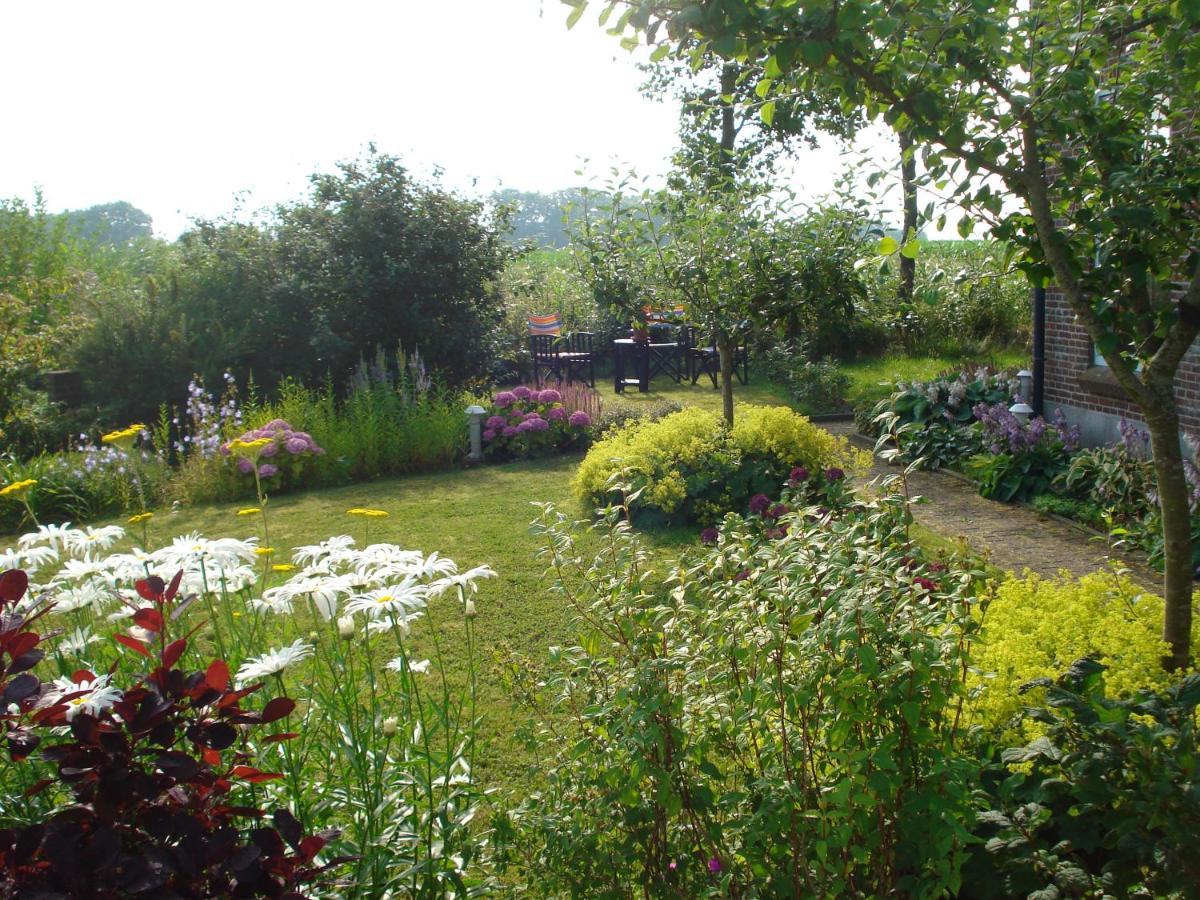 B&B Op De Vlakte Oosternijkerk ภายนอก รูปภาพ