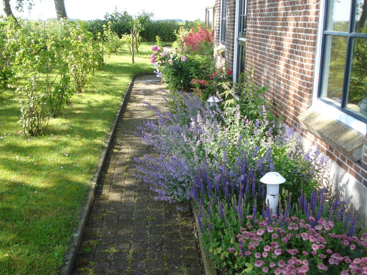 B&B Op De Vlakte Oosternijkerk ภายนอก รูปภาพ