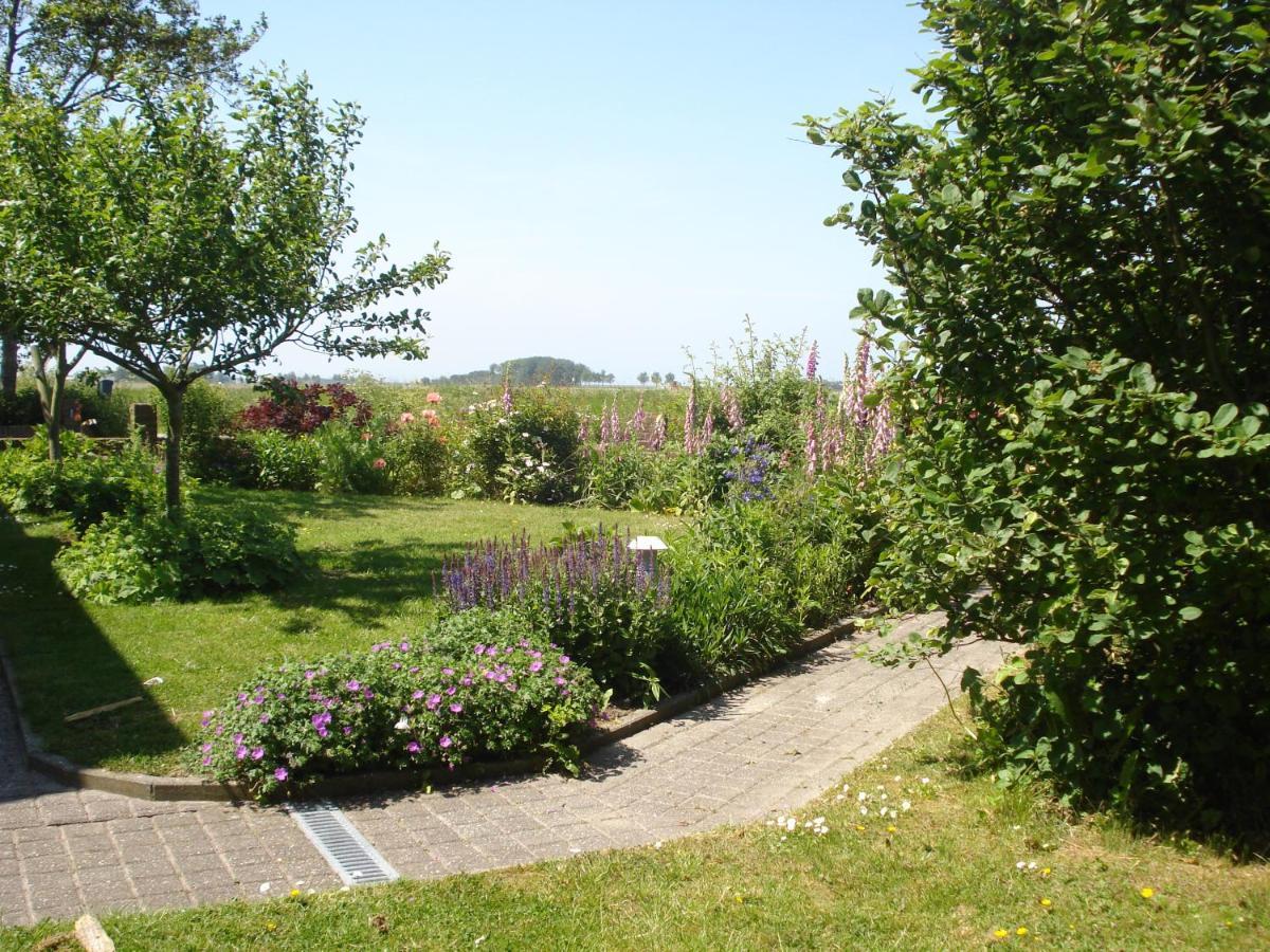 B&B Op De Vlakte Oosternijkerk ภายนอก รูปภาพ